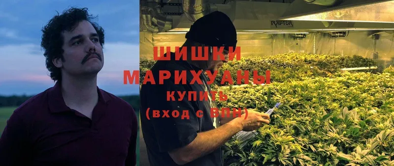 мориарти формула  Мамоново  Конопля Ganja 